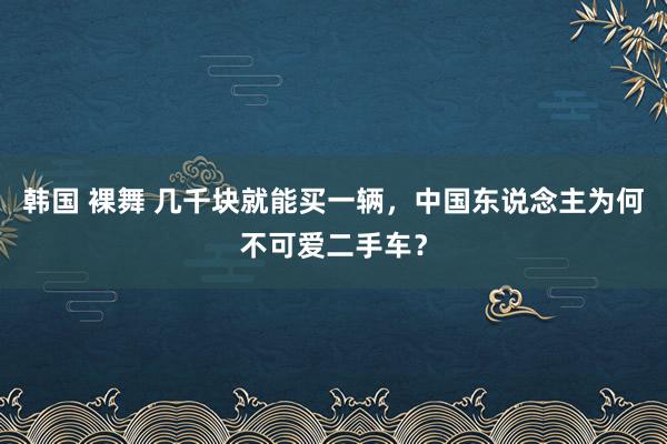 韩国 裸舞 几千块就能买一辆，中国东说念主为何不可爱二手车？