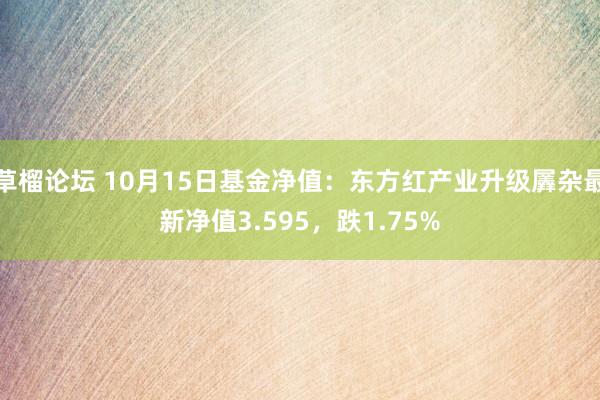 草榴论坛 10月15日基金净值：东方红产业升级羼杂最新净值3.595，跌1.75%