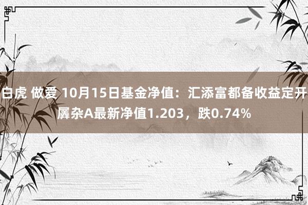 白虎 做爱 10月15日基金净值：汇添富都备收益定开羼杂A最新净值1.203，跌0.74%