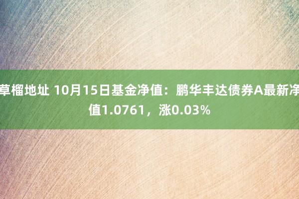 草榴地址 10月15日基金净值：鹏华丰达债券A最新净值1.0761，涨0.03%