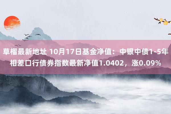 草榴最新地址 10月17日基金净值：中银中债1-5年相差口行债券指数最新净值1.0402，涨0.09%