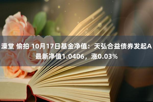 澡堂 偷拍 10月17日基金净值：天弘合益债券发起A最新净值1.0406，涨0.03%