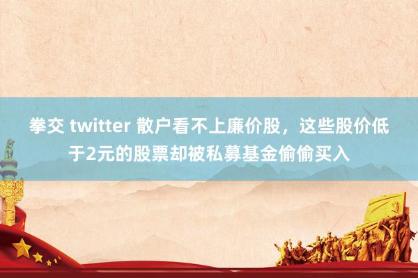 拳交 twitter 散户看不上廉价股，这些股价低于2元的股票却被私募基金偷偷买入