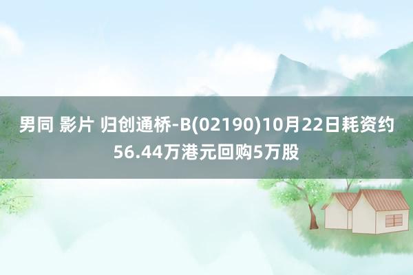 男同 影片 归创通桥-B(02190)10月22日耗资约56.44万港元回购5万股