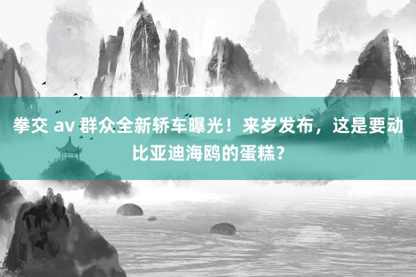 拳交 av 群众全新轿车曝光！来岁发布，这是要动比亚迪海鸥的蛋糕？