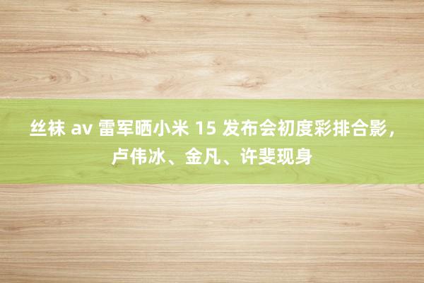 丝袜 av 雷军晒小米 15 发布会初度彩排合影，卢伟冰、金凡、许斐现身