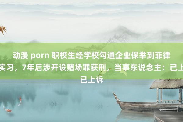 动漫 porn 职校生经学校勾通企业保举到菲律宾实习，7年后涉开设赌场罪获刑，当事东说念主：已上诉