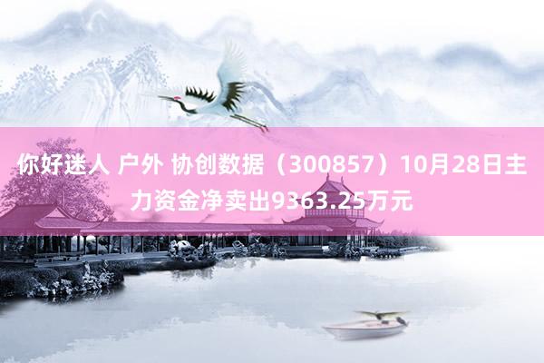 你好迷人 户外 协创数据（300857）10月28日主力资金净卖出9363.25万元