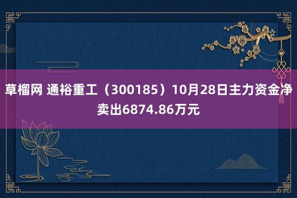 草榴网 通裕重工（300185）10月28日主力资金净卖出6874.86万元