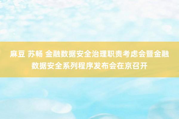 麻豆 苏畅 金融数据安全治理职责考虑会暨金融数据安全系列程序发布会在京召开