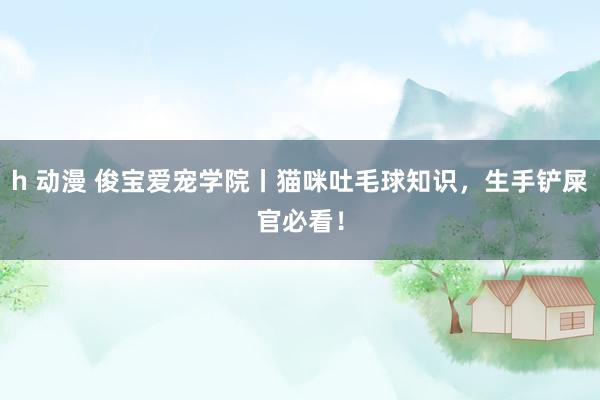 h 动漫 俊宝爱宠学院丨猫咪吐毛球知识，生手铲屎官必看！