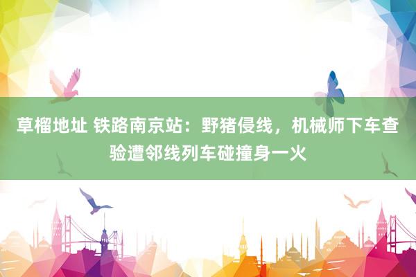 草榴地址 铁路南京站：野猪侵线，机械师下车查验遭邻线列车碰撞身一火