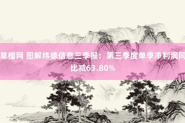 草榴网 图解纬德信息三季报:第三季度单季净利润同比减63.80%