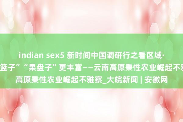 indian sex5 新时间中国调研行之看区域·西部篇丨让匹夫的“菜篮子”“果盘子”更丰富——云南高原秉性农业崛起不雅察_大皖新闻 | 安徽网