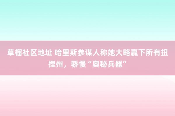 草榴社区地址 哈里斯参谋人称她大略赢下所有扭捏州，骄慢“奥秘兵器”
