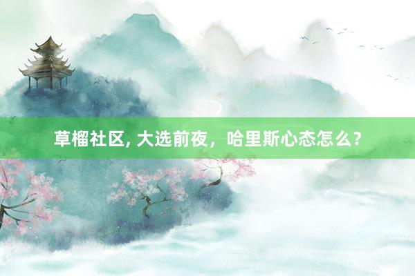 草榴社区， 大选前夜，哈里斯心态怎么？