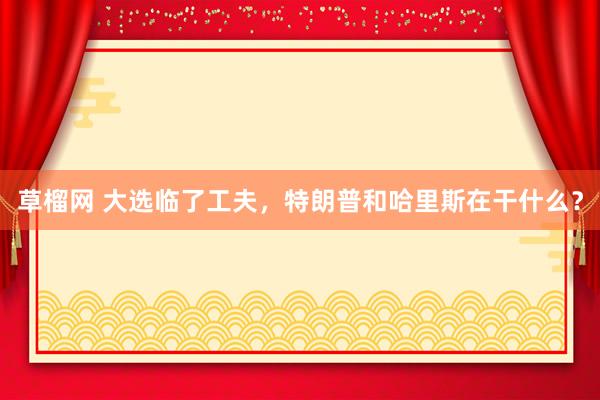 草榴网 大选临了工夫，特朗普和哈里斯在干什么？