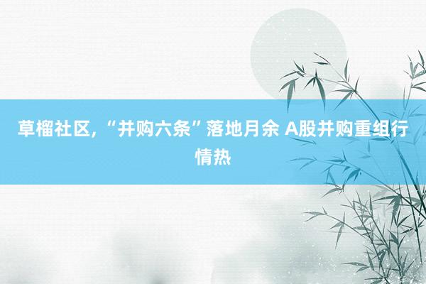 草榴社区， “并购六条”落地月余 A股并购重组行情热