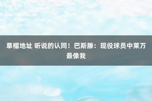 草榴地址 听说的认同！巴斯滕：现役球员中莱万最像我