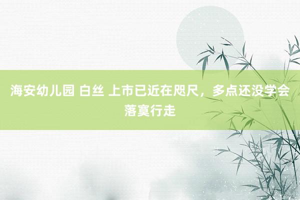 海安幼儿园 白丝 上市已近在咫尺，多点还没学会落寞行走
