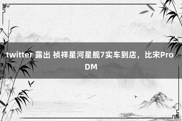 twitter 露出 祯祥星河星舰7实车到店，比宋Pro DM