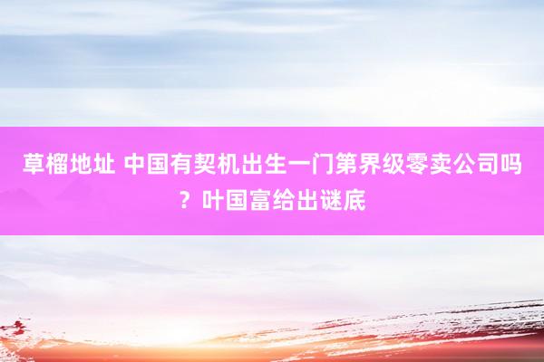 草榴地址 中国有契机出生一门第界级零卖公司吗？叶国富给出谜底
