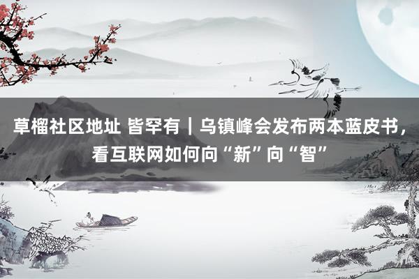 草榴社区地址 皆罕有｜乌镇峰会发布两本蓝皮书，看互联网如何向“新”向“智”
