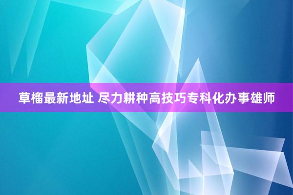 草榴最新地址 尽力耕种高技巧专科化办事雄师