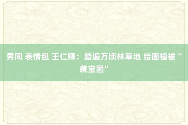 男同 表情包 王仁卿：踏遍万顷林草地 绘画植被“藏宝图”