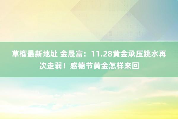 草榴最新地址 金晟富：11.28黄金承压跳水再次走弱！感德节黄金怎样来回
