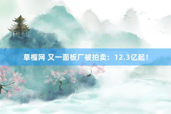 草榴网 又一面板厂被拍卖：12.3亿起！