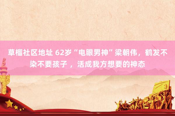草榴社区地址 62岁“电眼男神”梁朝伟，鹤发不染不要孩子 ，活成我方想要的神态