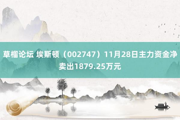 草榴论坛 埃斯顿（002747）11月28日主力资金净卖出1879.25万元