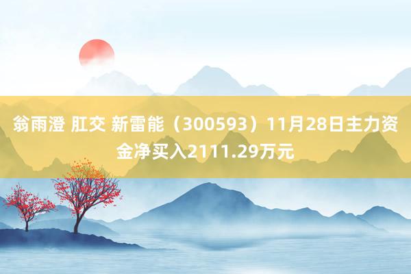 翁雨澄 肛交 新雷能（300593）11月28日主力资金净买入2111.29万元