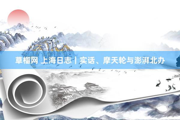 草榴网 上海日志｜实话、摩天轮与澎湃北办