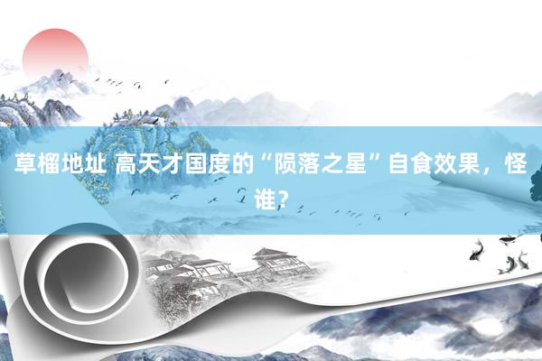 草榴地址 高天才国度的“陨落之星”自食效果，怪谁？