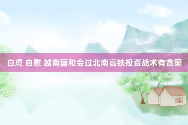 白虎 自慰 越南国和会过北南高铁投资战术有贪图