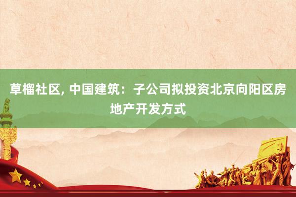 草榴社区， 中国建筑：子公司拟投资北京向阳区房地产开发方式