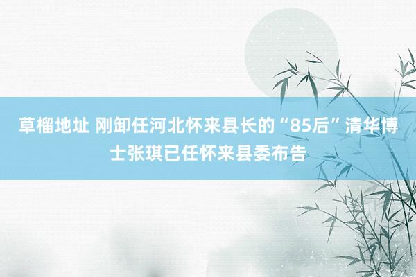 草榴地址 刚卸任河北怀来县长的“85后”清华博士张琪已任怀来县委布告