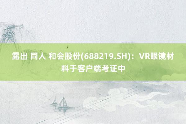 露出 同人 和会股份(688219.SH)：VR眼镜材料于客户端考证中