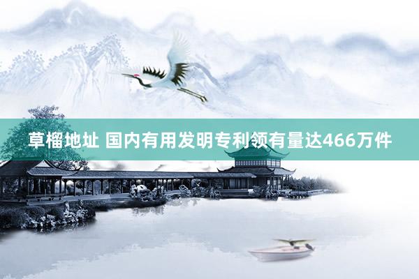 草榴地址 国内有用发明专利领有量达466万件