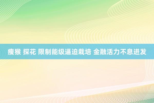 瘦猴 探花 限制能级逼迫栽培 金融活力不息迸发