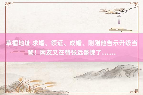 草榴地址 求婚、领证、成婚、刚刚他告示升级当爸！网友又在替张远蹙悚了……
