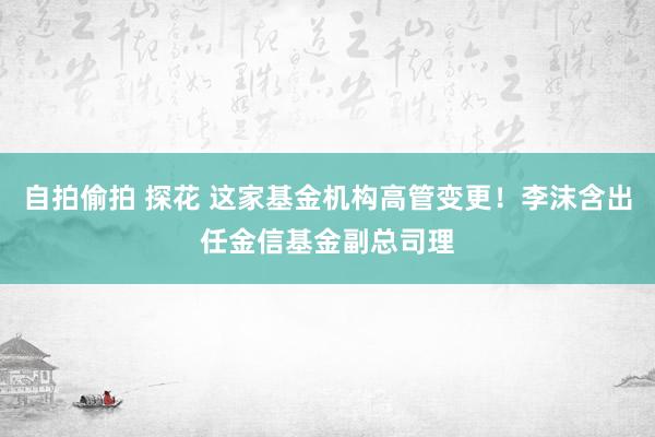 自拍偷拍 探花 这家基金机构高管变更！李沫含出任金信基金副总司理