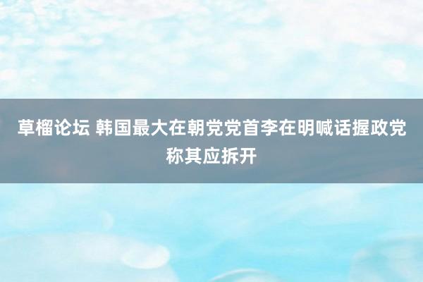 草榴论坛 韩国最大在朝党党首李在明喊话握政党称其应拆开