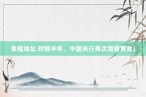 草榴地址 时隔半年，中国央行再次增握黄金！