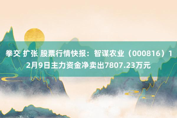 拳交 扩张 股票行情快报：智谋农业（000816）12月9日主力资金净卖出7807.23万元