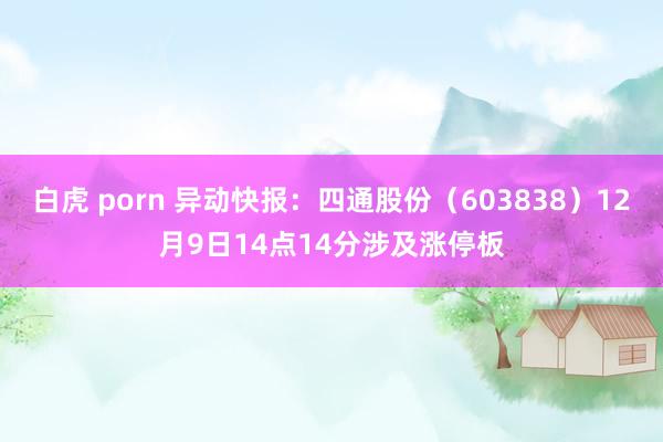 白虎 porn 异动快报：四通股份（603838）12月9日14点14分涉及涨停板