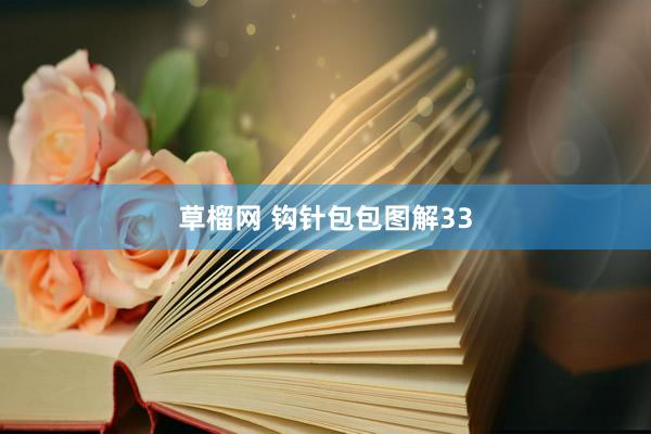 草榴网 钩针包包图解33