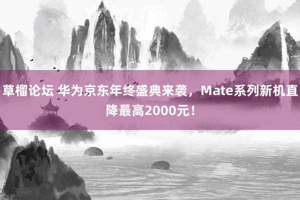 草榴论坛 华为京东年终盛典来袭，Mate系列新机直降最高2000元！